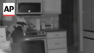 WATCH: Dog accidentally turns on stove and starts a fire