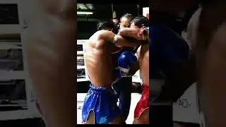 Out COLD! Brutal Elbow Knockout YOKKAO Muay Thai Fights มวยไทย