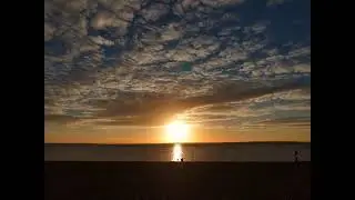 Stella Mosaic Live Stream