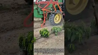 Precision Agriculture in Action | The Ultimate Guide to Modern Crop Spraying