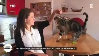 Faire garder son chat gratuitement avec l'&eacute;change entre particuliers Animal Fut&eacute; sur France 5
