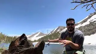 High Sierra Brook Trout Fishing Wild Lake