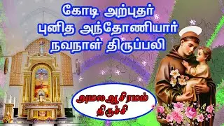 🔴 🅛🅘🅥🅔 ✠ கோடி அற்புதர் புனித அந்தோணியார் நவநாள் திருப்பலி ✠அமல ஆசிரமம்✠ 20 Jan 26 ✠ #stantonys #mass