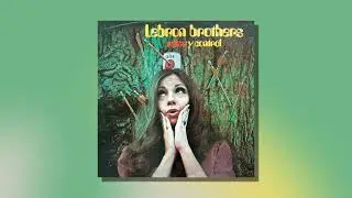 Lebr&oacute;n Brothers - Salsa y Control (Audio Oficial)
