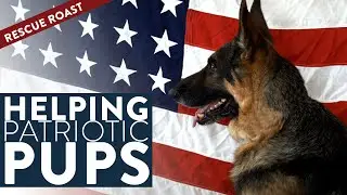 Saving Heroic Pups with Mission K9