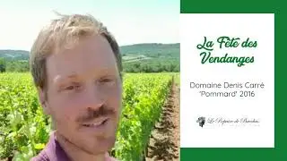 Domaine Denis Carr&eacute; - Pommard 2016