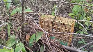 Novato da pegando certo!
