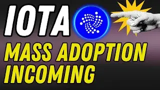IOTA IS MUCH BIGGER THAN MOST PEOPLE THINK