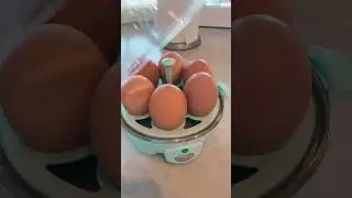Ultimate Life Hack: Dash Egg Cooker