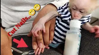 Mummy Cute Baby Monkey Maya Cut Nails