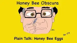 Plain Talk: Honey Bee Eggs (173)