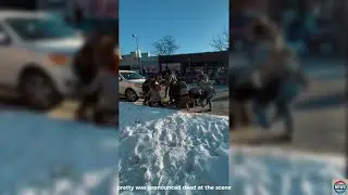 Fatal shooting of Minneapolis man(Alex Pretti) by USA ICE Federal border control agents FULL STORY*