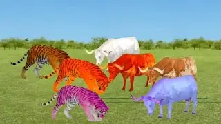zombie Mammoth Vs Elephant save cow cartoon from saber tooth tiger attack ||@aksiddharth4597