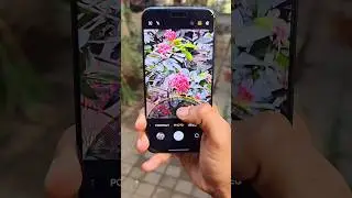 Honor Magic 8 Pro Camera Test! #4krtech