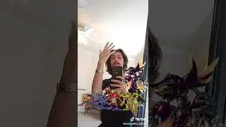 Kabuterimon