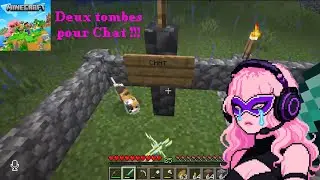 Minecraft serveur RP (&eacute;pisode 34) : deux tombes pour Chat !!!