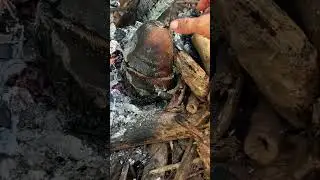 Best coconut dinner 🥥🌴💦 #short #shortvideo #camping #mountains #cconut #queen #princess