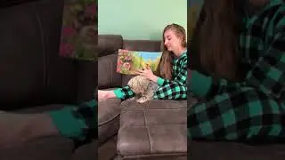 HideAway Hedgehog and the Magical Rainbow by Lisa McCue