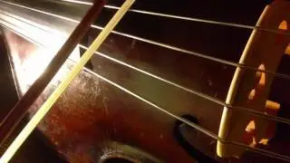 VINUR - Auyr