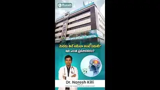 Brain-Eating Amoeba: Know the Facts | Russh Hospitals