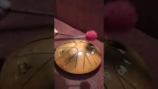 Фимбо меркурий.