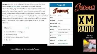 Punk Rock Music Radio from XM Channel Fungus (53) - Part 1, 25 Minutes