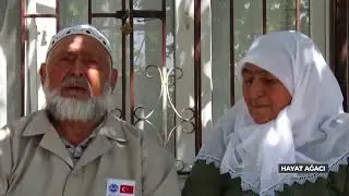 Hayat Ağacı Nuri Akdemir