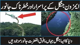 Animals of Amazon Jungle | Amazon Rainforest Documentary in Urdu Hindi
