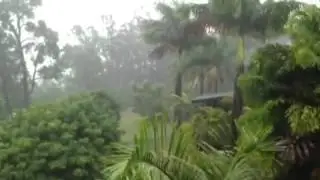 Maui Video by Barry Frankel