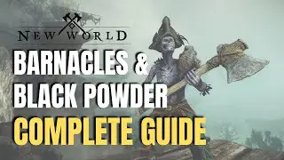 Barnacles and Blackpowder - New World Expedition (Complete Guide 2022)