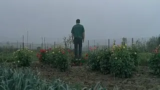 L&rsquo;humanit&eacute; (1999) - Interview with Bruno Dumont (ENG SUB)
