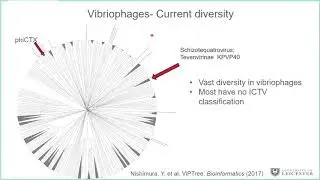 Vast diversity of vibrio prophages_Dr. Andrew D. Millard
