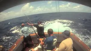 IONA GAMEFISHING CAIRNS 2012