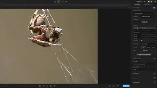 Video AI Tutorials: The Enhancements #1 Output Resolution & Video Types (v6)