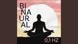 Mindful Meditation