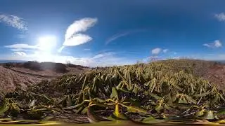 Craggy Gardens Time-Lapse 360