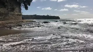Mairangi Bay 11;00am Wednesday 29 April 2020