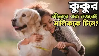 একটি কুকুর তার মালিককে কিভাবে চিনে ফেলে? How a dog knows you? Fun facts and mystery of dog by Niamat