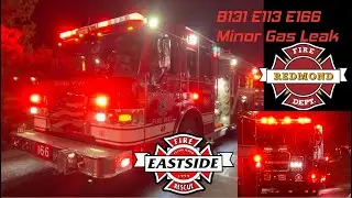 B131, E113, E166 | Gas Leak | 1/7/2026