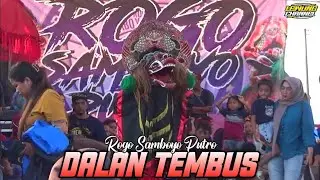 Dalan Tembus Voc. Gea&Dinda Jaranan ROGO SAMBOYO PUTRO Shafira Audio 2023
