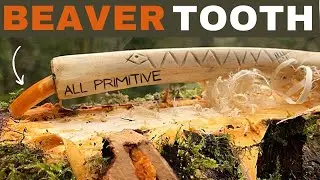 The Beaver Tooth Chisel