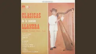 Concierto En La Llanura