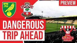 Norwich vs Southampton Preview: Can Saints Keep the Run Going?