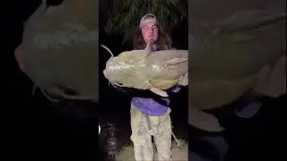 The best bait pump to keep your bait alive.