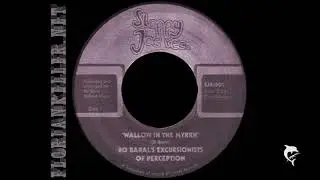 Bo Baral - No Time To Wallow In The Myrrh (Sloppy Joe Records) Light My Fire