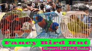 Mirpur Bird Hut ll Fancy Birds Hut ll Mirpur-1 Bird Hut Dhaka ll BD