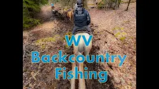 Cool Water Outfitters-East coast only backcountry horseback fishing(part 1)