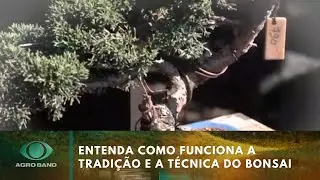 Veja como funciona a t&eacute;cnica do bonsai | Agro Band