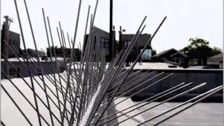 Bird-X Stainless Steel Bird Spikes - 10ft.L x 5in.W, Model# STS-10R