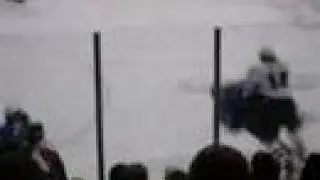 Arizona Sundogs